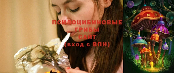 гашиш Дмитриев