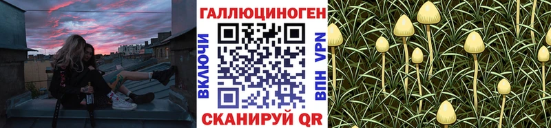 Купить  Знаменск  Галлюциногенные грибы MAGIC MUSHROOMS 