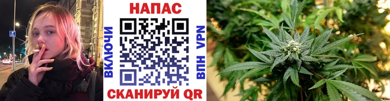 Купить  Знаменск  Канабис конопля 